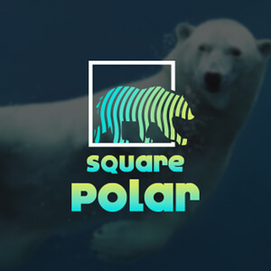 1495075089-Squarepolar