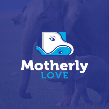 1496126099-Motherlylove